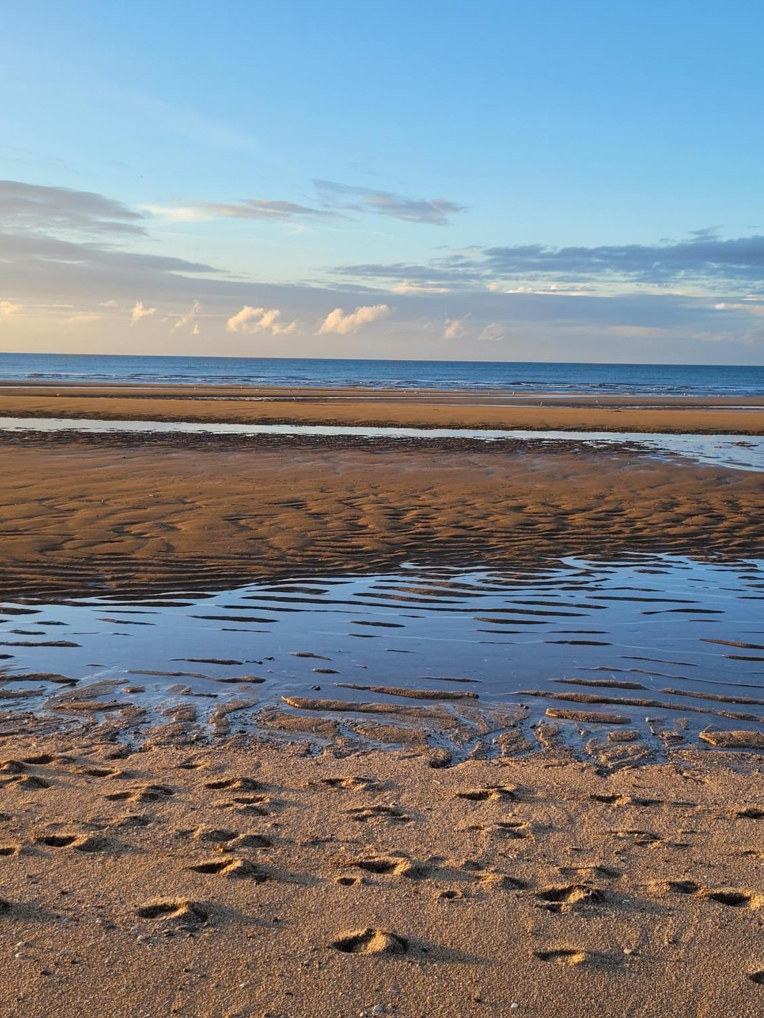 "Mon Evidence!" Magnifique Appartement Vue Mer Et Acces Direct A La Plage Villers-sur-Mer Extérieur photo